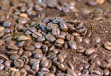 Do czego można wykorzystać fusy z kawy? Do czego można wykorzystać fusy z kawy?