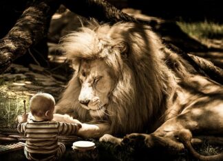 Jak zwiększyć objętość cienkich włosów? Jak zwiększyć objętość cienkich włosów?