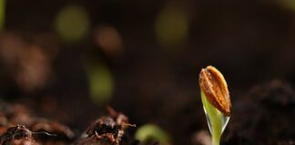 Jaki kolor podkładu do jasnej karnacji?