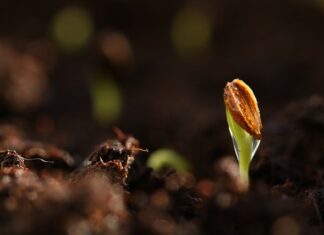Jaki kolor podkładu do jasnej karnacji?