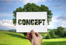 Jaka metoda rzęs najbardziej naturalną?