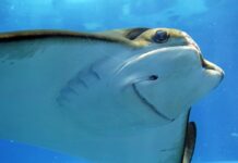 Co zrobić żeby ode mnie ładnie pachniało?