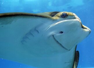 Co zrobić żeby ode mnie ładnie pachniało? Co zrobić żeby ode mnie ładnie pachniało?