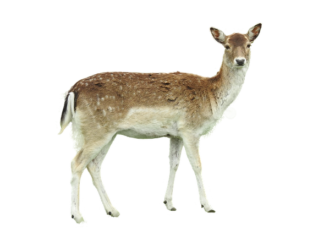 Ile metrów kwadratowych na 1 pracownika? Ile metrów kwadratowych na 1 pracownika?