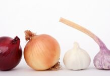 Jak pobudzić cebulki brody?