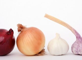 Jak pobudzić cebulki brody? Jak pobudzić cebulki brody?