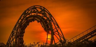 Czy Roller do brody coś daje?