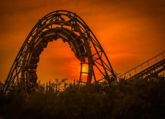 Czy Roller do brody coś daje?