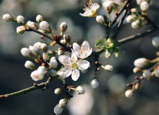 Czy Octenisept jest dobry na trądzik? Czy Octenisept jest dobry na trądzik?