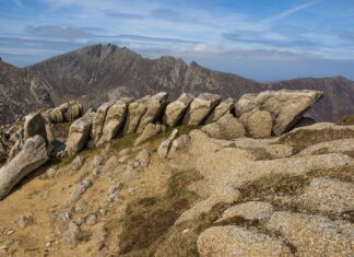 Jak układać włosy na puder? Jak układać włosy na puder?