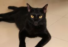 Kiedy ogolić się pierwszy raz?