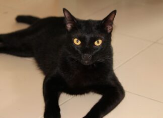 Kiedy ogolić się pierwszy raz?