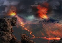 Czym myć rzęsy z Rossmanna?