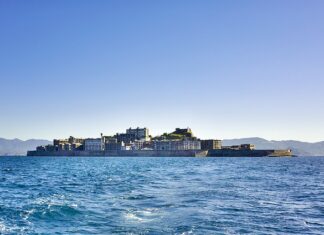 Co wpływa na gęstość zarostu?