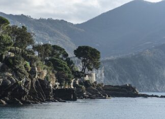 Ile kosztuje jeden warkoczyk nad morzem? Ile kosztuje jeden warkoczyk nad morzem?