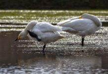 Dlaczego wszystko mnie swędzi?