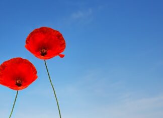 Czy w wieku 16 lat można golić miejsca intymne? Czy w wieku 16 lat można golić miejsca intymne?